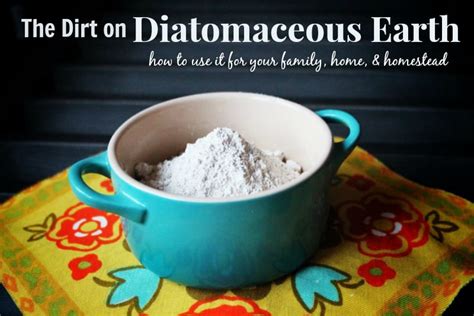 Detoxify your body. . Can you put diatomaceous earth on your hair